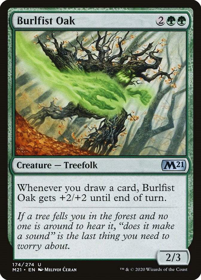 Burlfist Oak [M21 - 174]